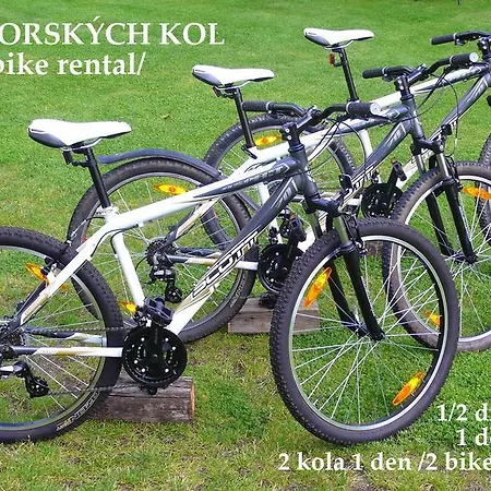 Fousek Penzion