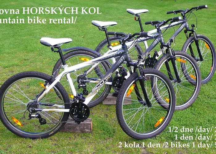 Fousek Pensión